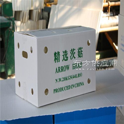 西安钙塑蔬菜箱,钙塑蔬菜箱厂家,飞燕塑胶制品图片