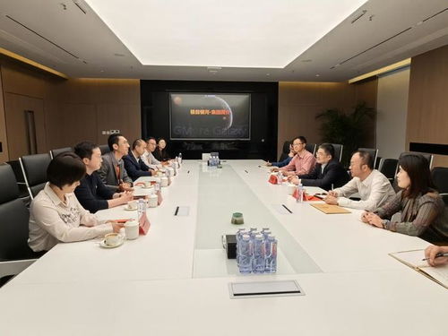 宝山区委常委 统战部部长沈伟民一行赴极目银河走访调研