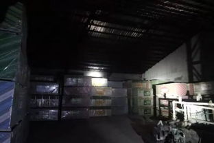 日查夜查、直击现场 临沂生态环保人守护银河棉业绿色发展