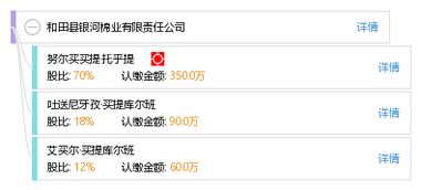 和田县银河棉业有限责任公司
